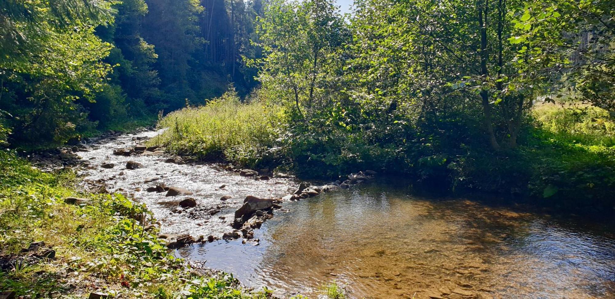 Дім Villa Tukhlya Esterno foto